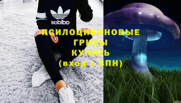 mdpv Бородино