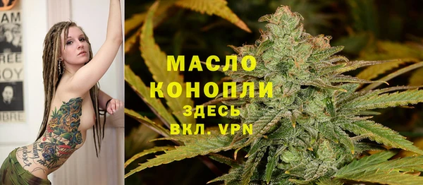mdpv Бородино