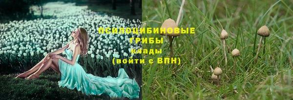 каннабис Беломорск