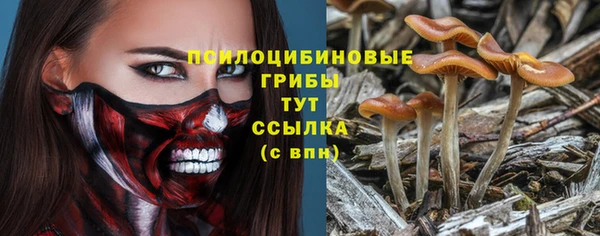 mdpv Бородино
