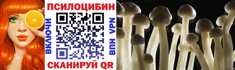 Псилоцибиновые грибы GOLDEN TEACHER  Инза 